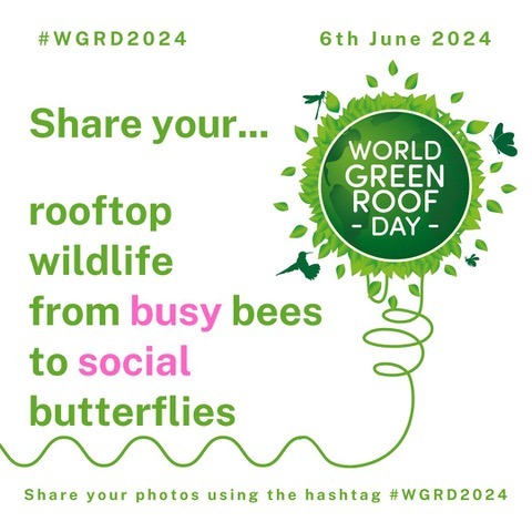 World Green Roof Day - Share your rooftop wildlife